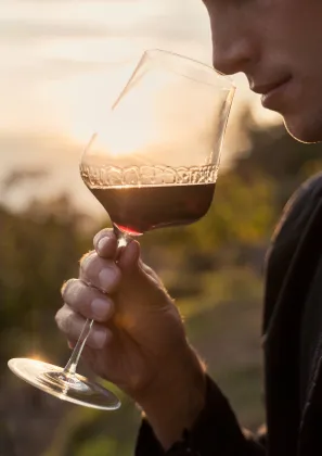 dégustation de vins à Fontjoncouse près de Narbonne dans l'Aude 11
